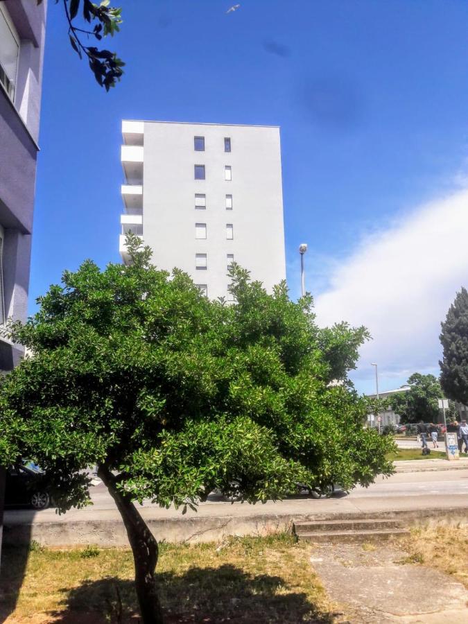 Apartmán Moonlight Zadar